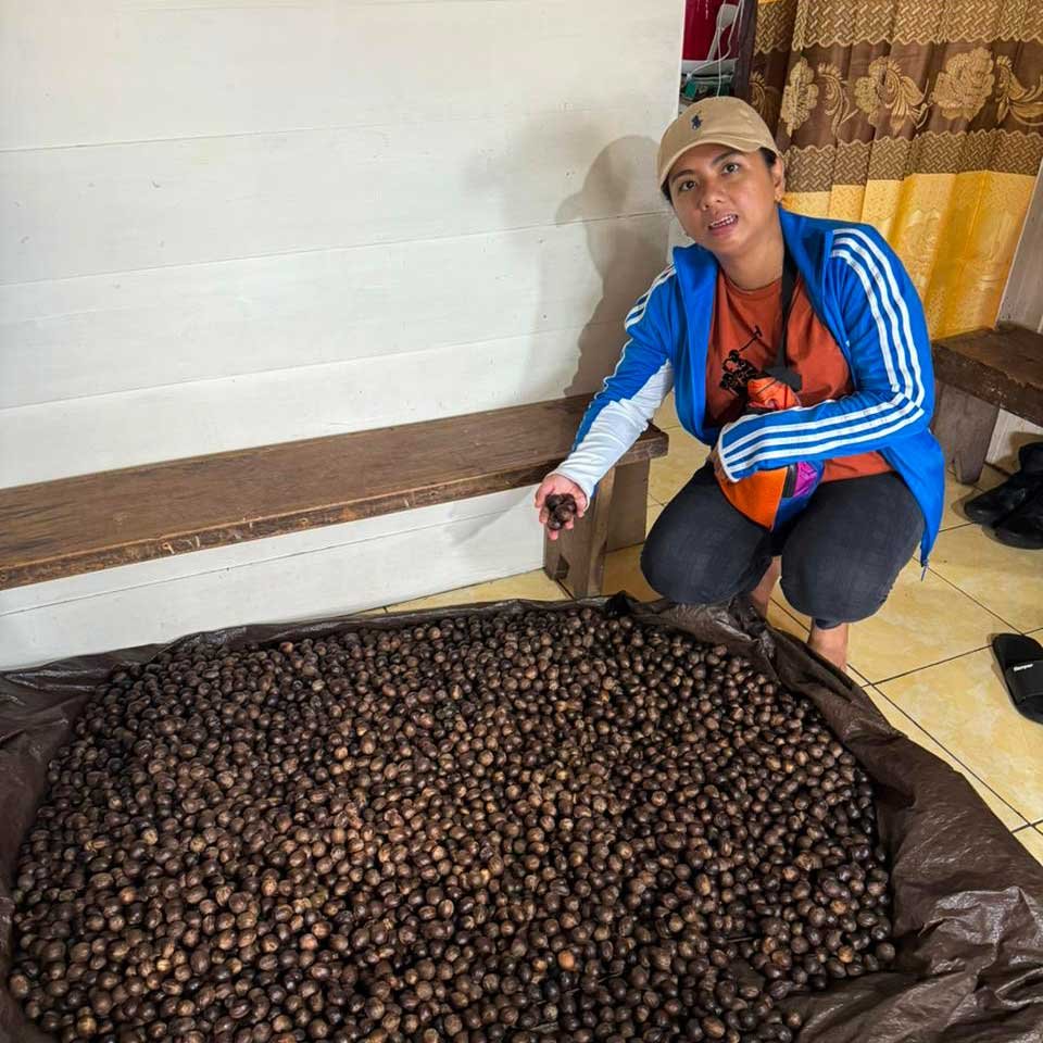 Ficka, The Owner of Navano Agros Ficka, The Owner of Navano Agros